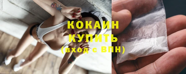 первитин Богданович