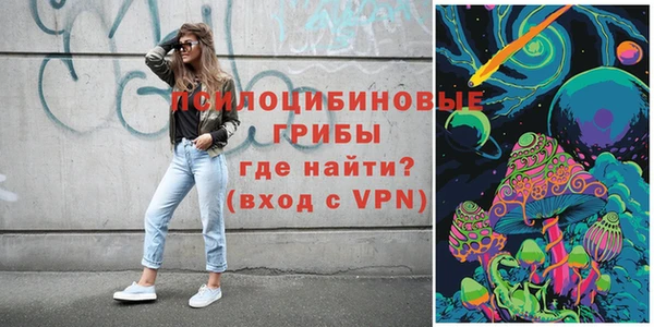 стафф Богородск
