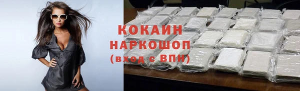 первитин Богданович