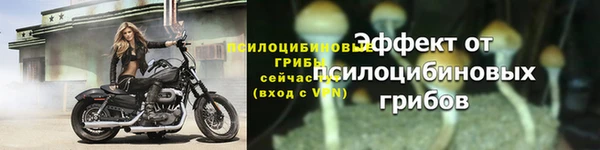 стафф Богородск