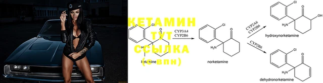 spice Володарск