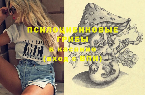 соль курить ск Богородицк
